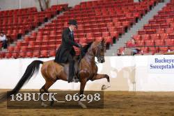 18BUCK_06298 proof