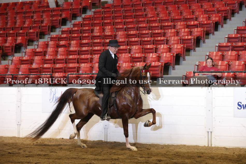 Proof 18BUCK_06299