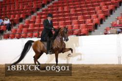 18BUCK_06301 proof