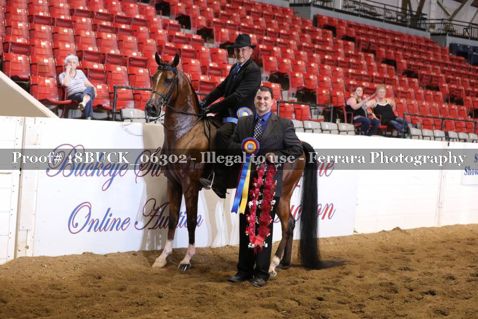 Proof 18BUCK_06302