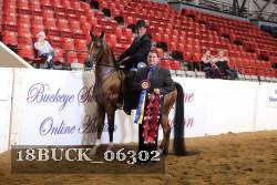 18BUCK_06302 proof