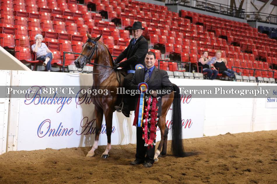 Proof 18BUCK_06303