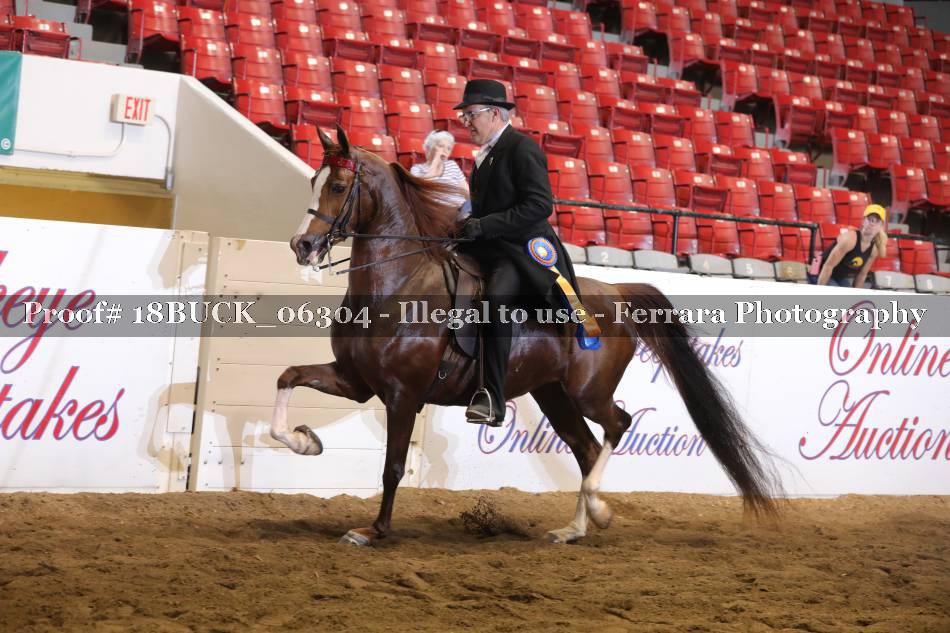 Proof 18BUCK_06304