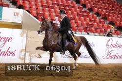 18BUCK_06304 proof