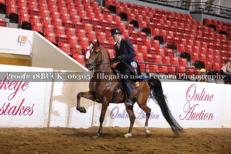 Proof 18BUCK_06305