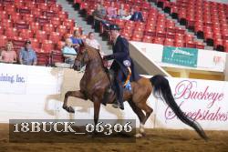 18BUCK_06306 proof