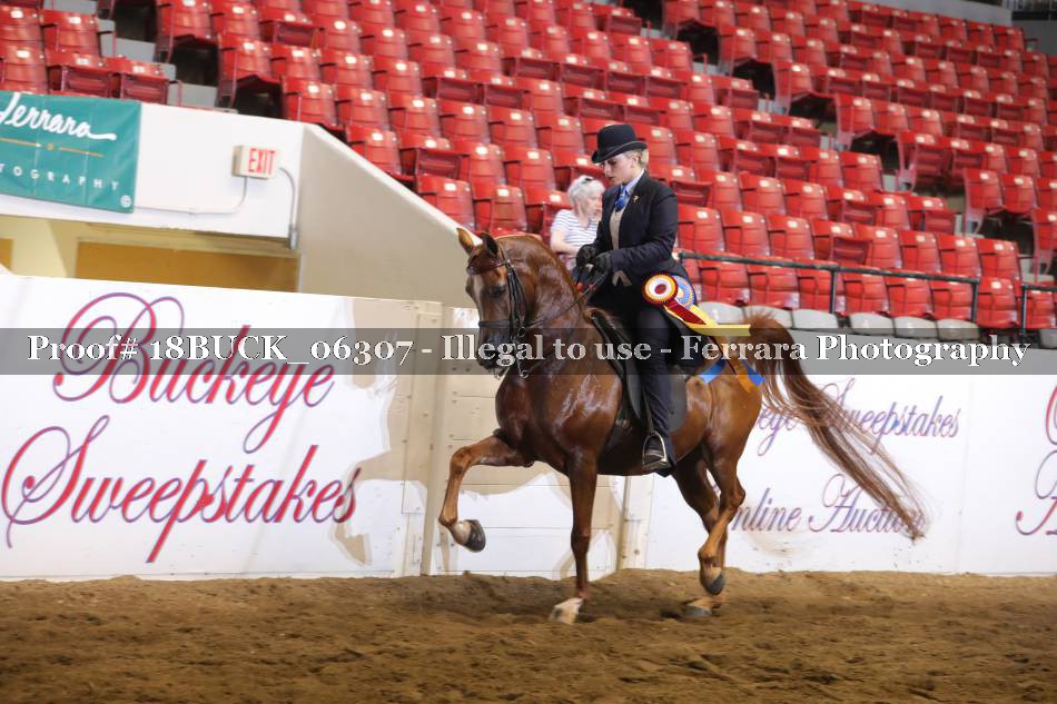 Proof 18BUCK_06307