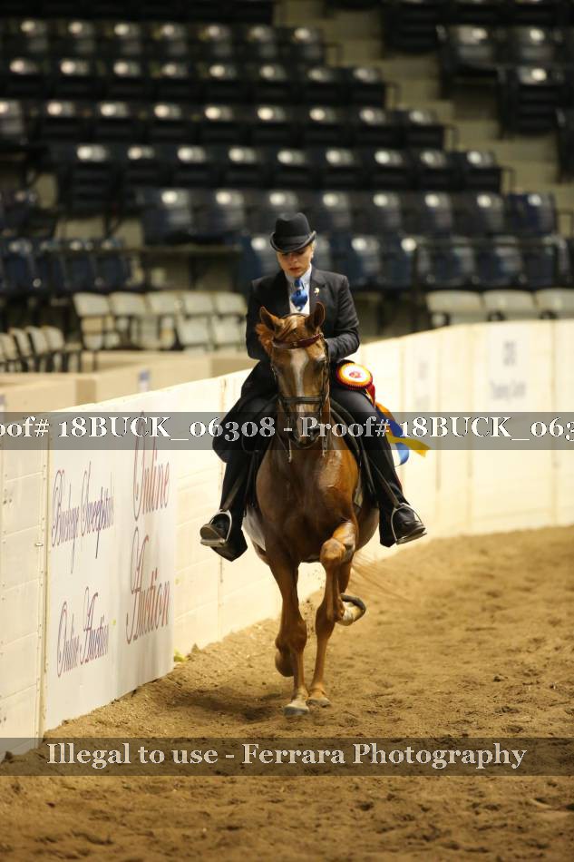 Proof 18BUCK_06308