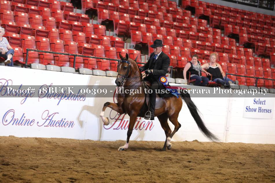 Proof 18BUCK_06309