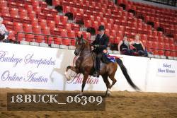 18BUCK_06309 proof