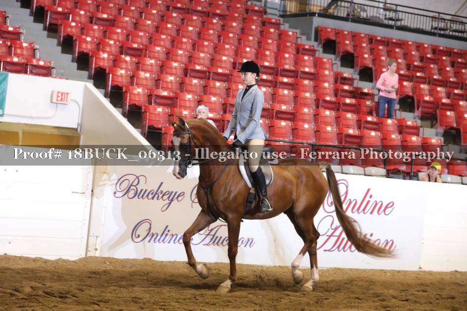 Proof 18BUCK_06313