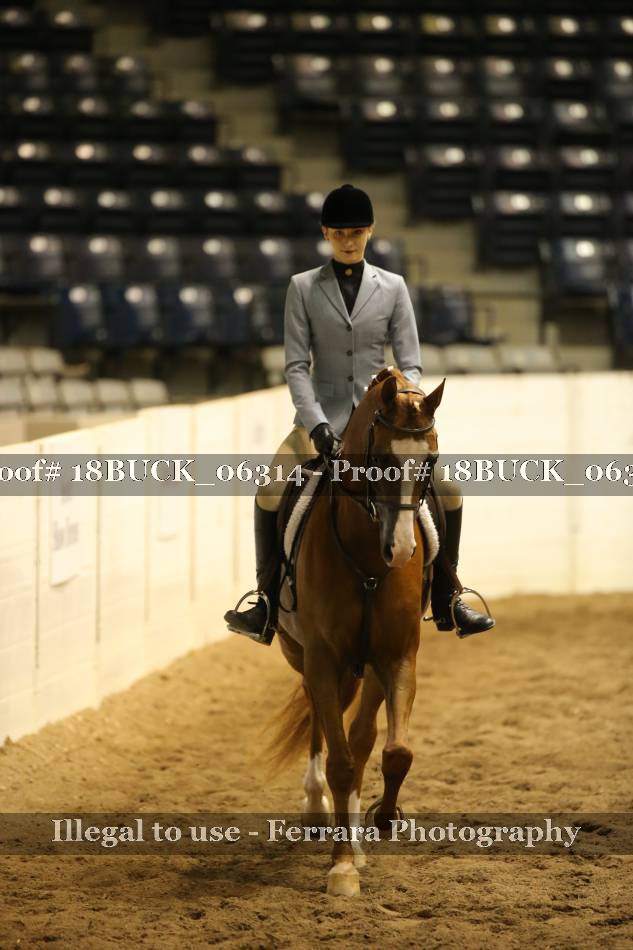 Proof 18BUCK_06314
