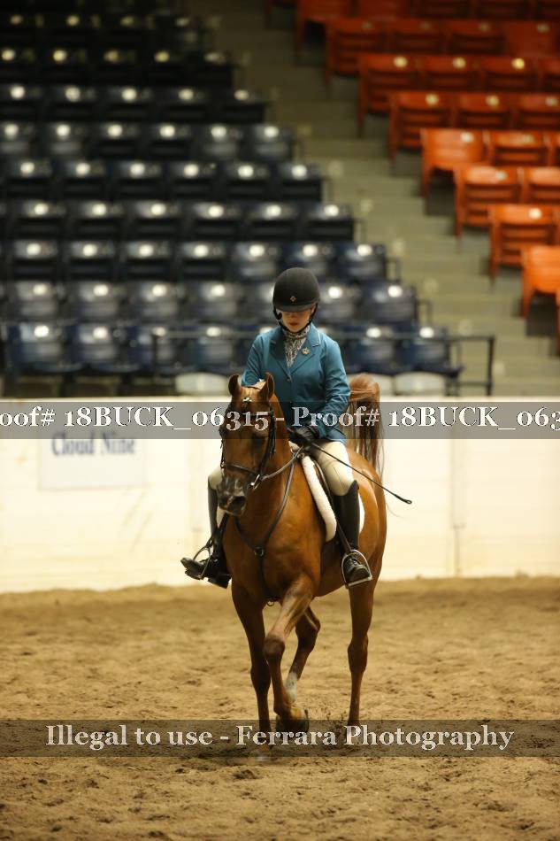 Proof 18BUCK_06315