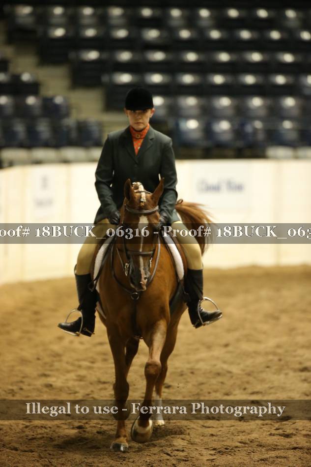Proof 18BUCK_06316