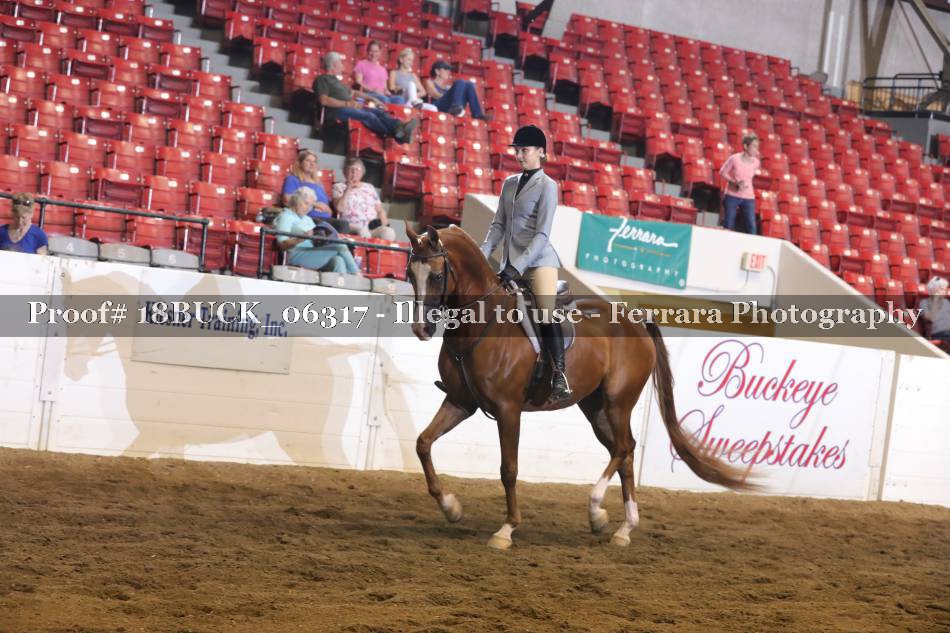 Proof 18BUCK_06317