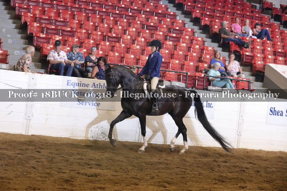 Proof 18BUCK_06318