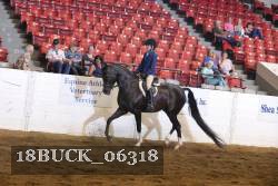 18BUCK_06318 proof