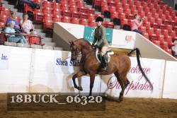 18BUCK_06320 proof
