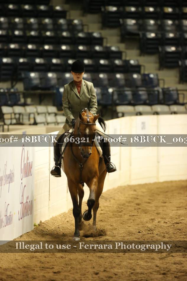 Proof 18BUCK_06321