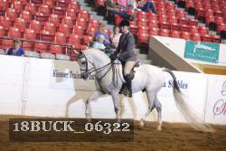 18BUCK_06322 proof