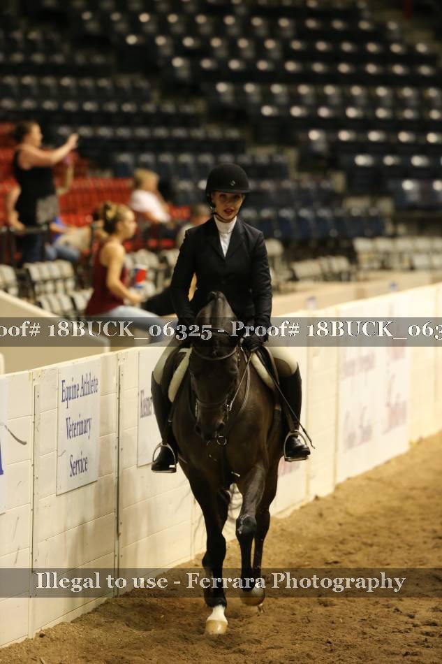 Proof 18BUCK_06325