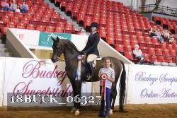 18BUCK_06327 proof