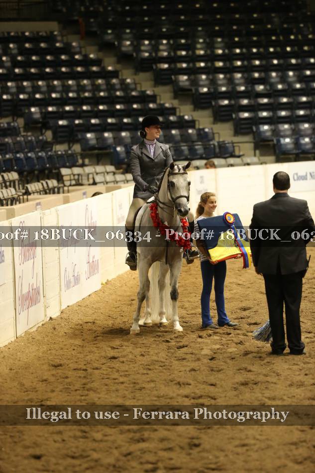 Proof 18BUCK_06334