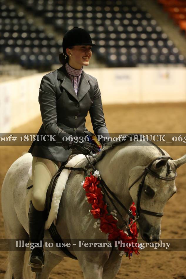 Proof 18BUCK_06336