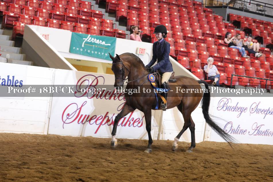 Proof 18BUCK_06337