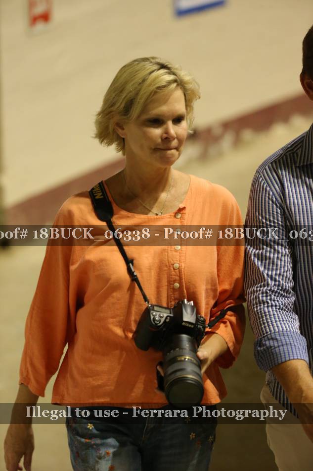 Proof 18BUCK_06338