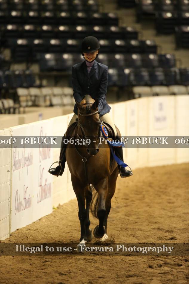 Proof 18BUCK_06339