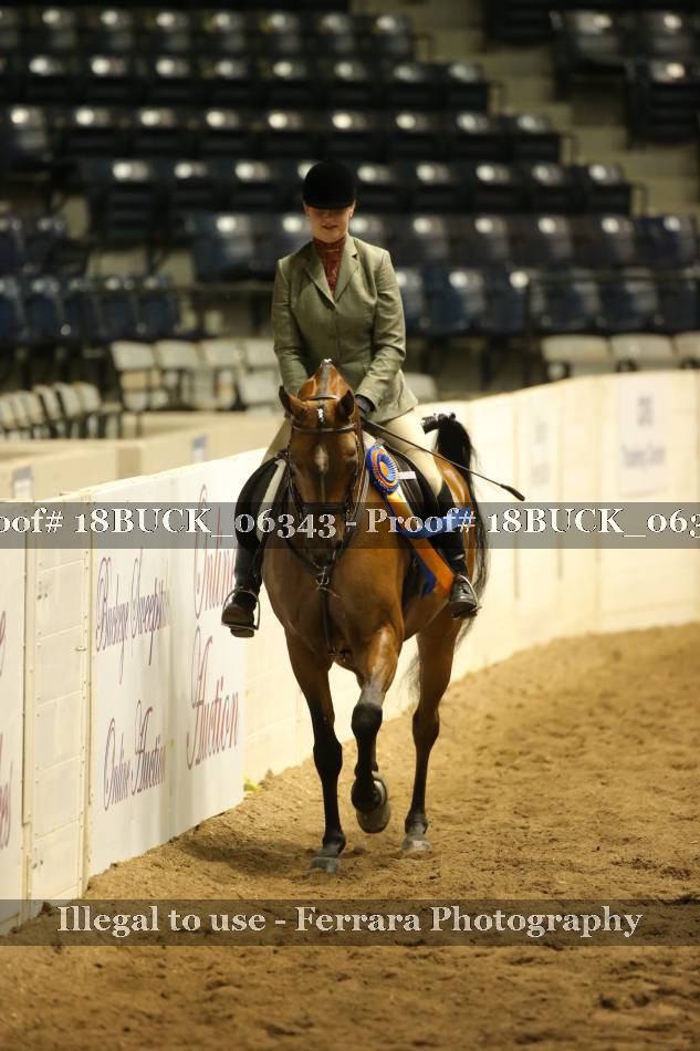 Proof 18BUCK_06343
