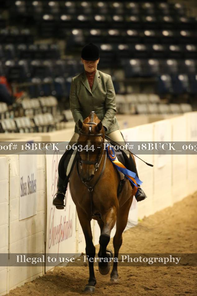 Proof 18BUCK_06344