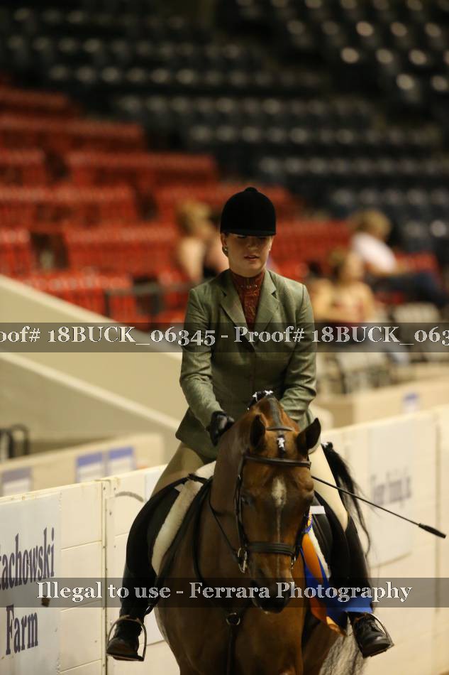 Proof 18BUCK_06345