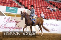 18BUCK_06346 proof