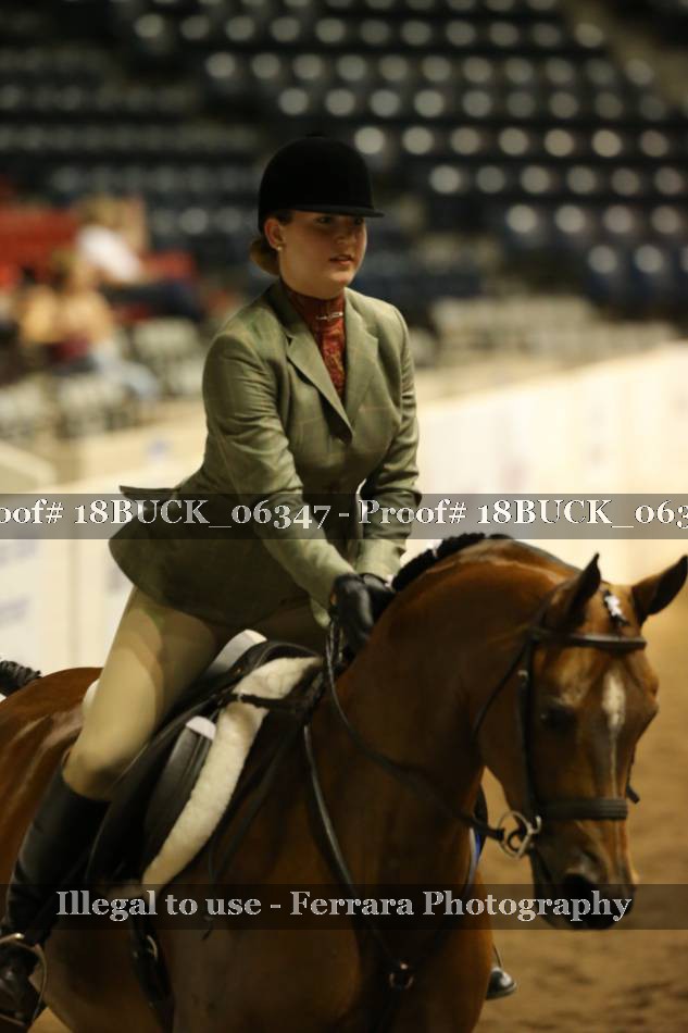 Proof 18BUCK_06347
