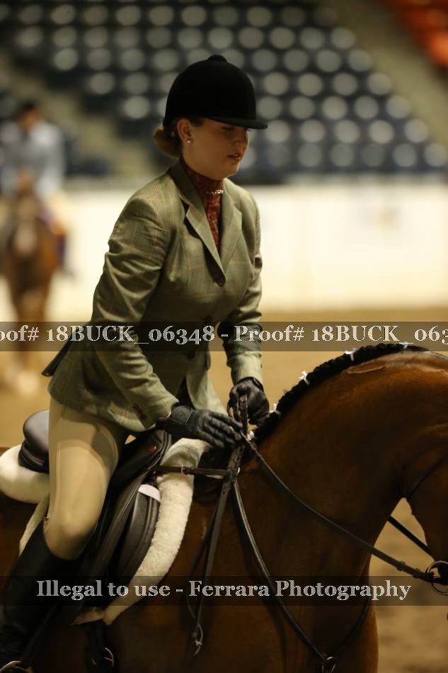 Proof 18BUCK_06348