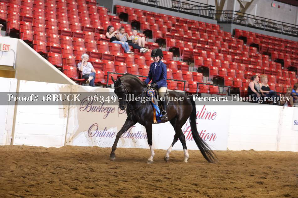 Proof 18BUCK_06349