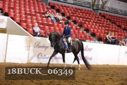 18BUCK_06349 proof