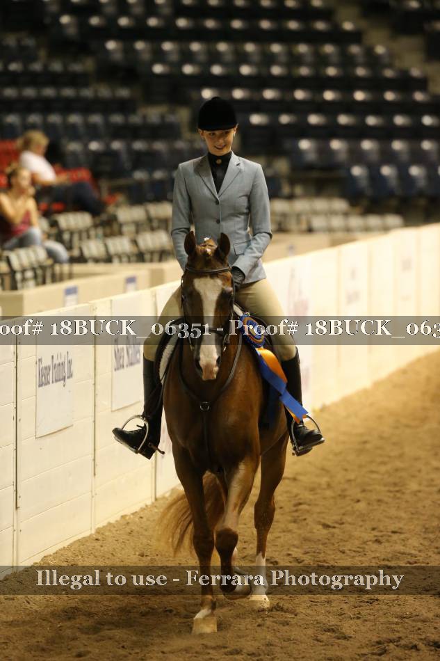 Proof 18BUCK_06351