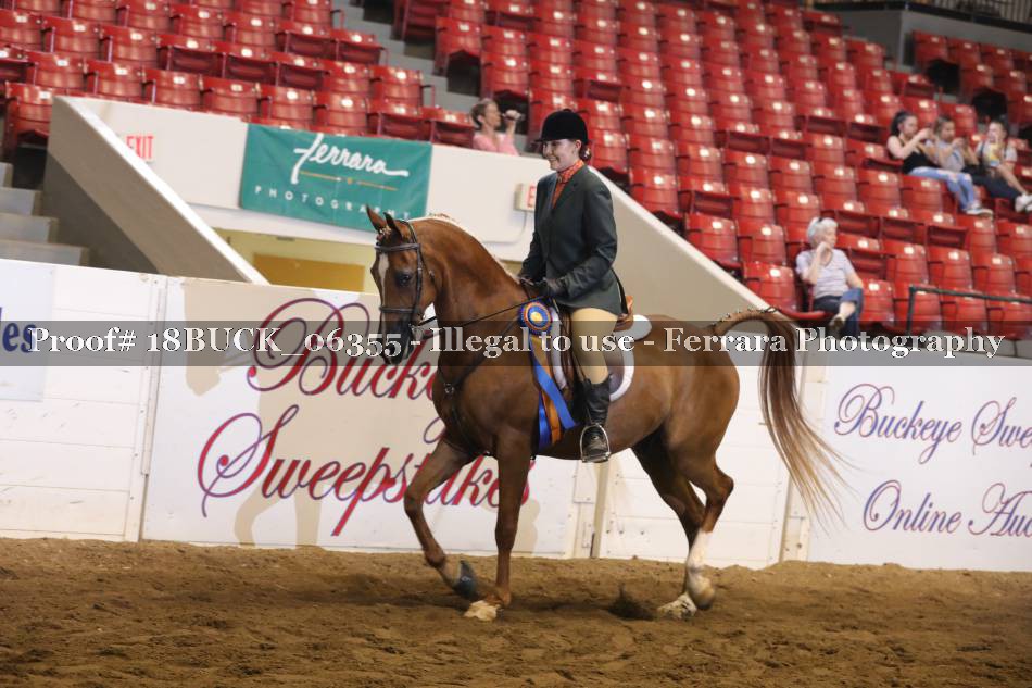 Proof 18BUCK_06355