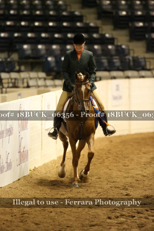 Proof 18BUCK_06356