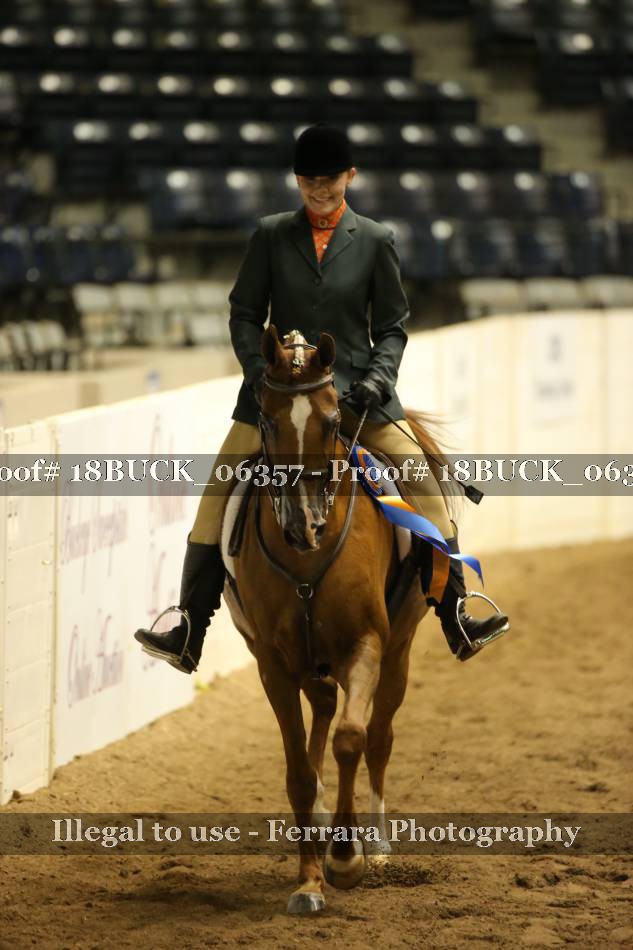 Proof 18BUCK_06357