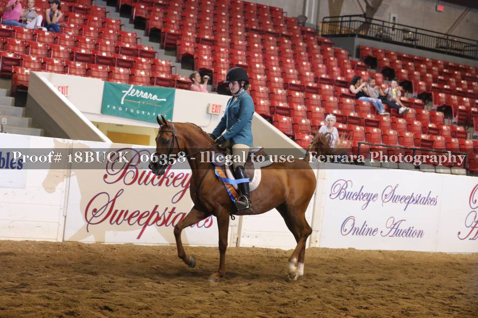 Proof 18BUCK_06358