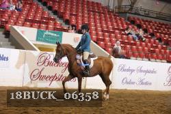 18BUCK_06358 proof