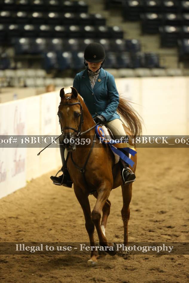Proof 18BUCK_06359