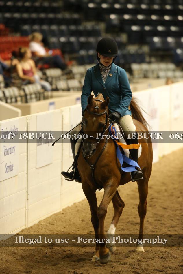 Proof 18BUCK_06360