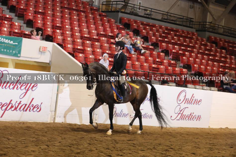 Proof 18BUCK_06361