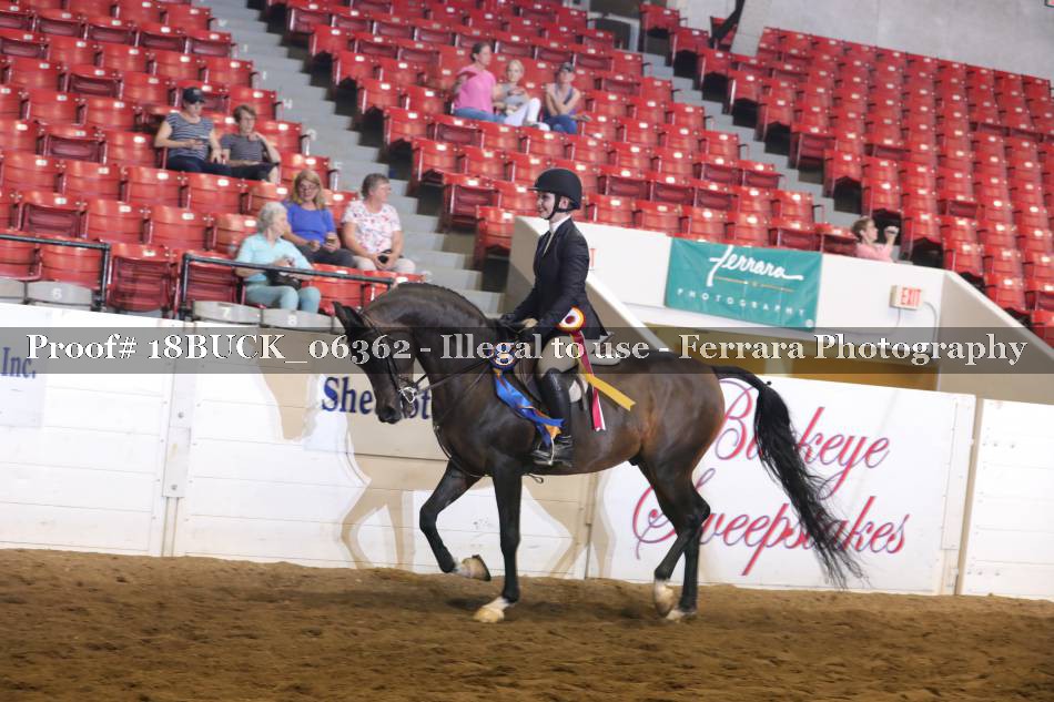 Proof 18BUCK_06362
