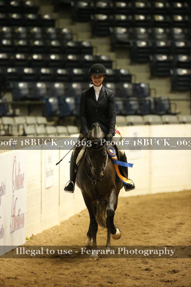 Proof 18BUCK_06363